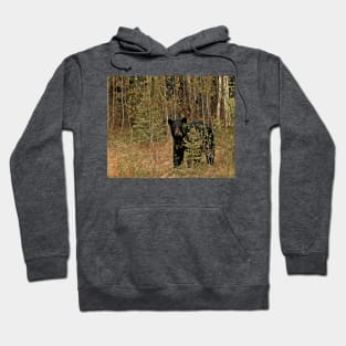 Momma Bear Hoodie